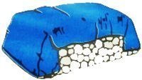 Plandeka Okryciowa 10x10 Zielona 120g/m2 Plandeka Okryciowa 10x10 Zielona 120g/m2