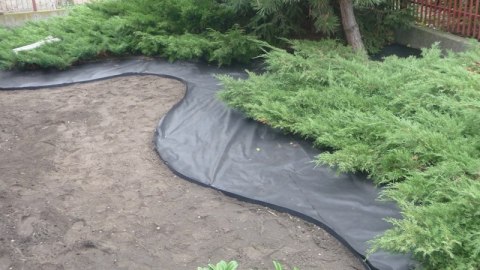 Agrowłóknina Czarna P-45 UV 1,6m x 30mb AgroPol
