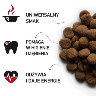 Karma dla psa Nasz Pies adult wołowina 15kg