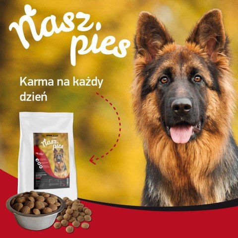 Karma dla psa Nasz Pies adult wołowina 15kg Karma dla psa Nasz Pies adult wołowina 15kg